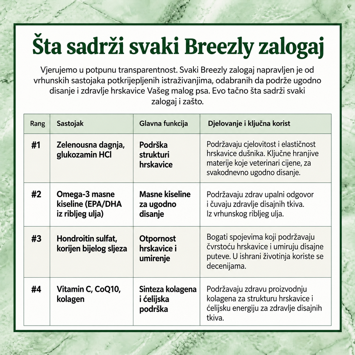 Zalogaji za disajne puteve pasa Breezly - BRZ-BA