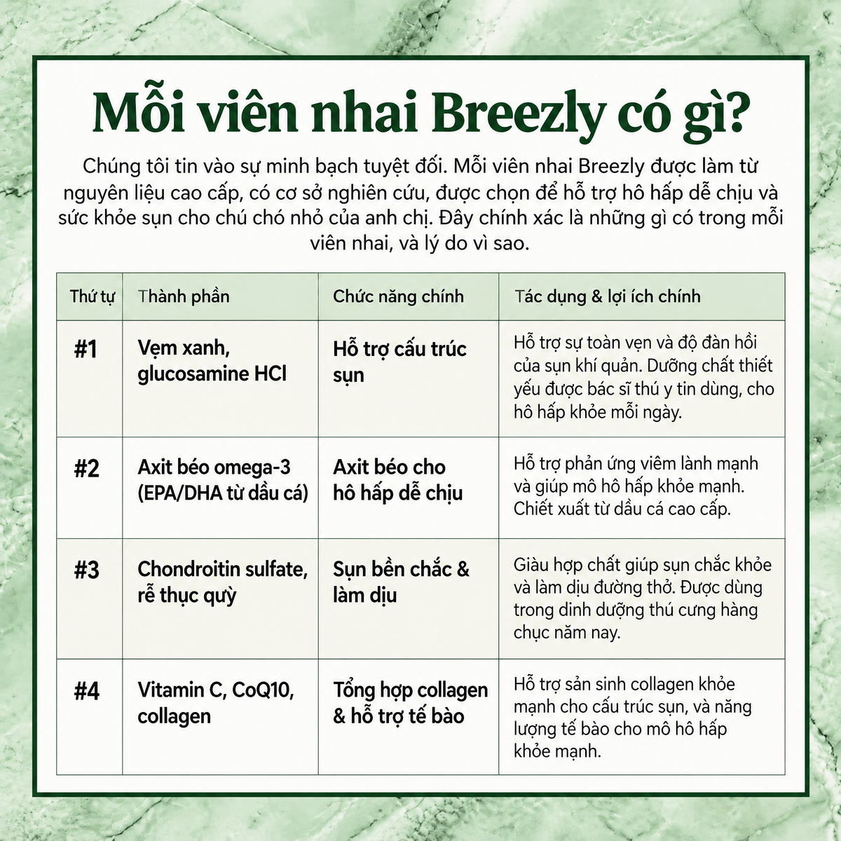 Viên nhai hỗ trợ hô hấp cho chó Breezly - BRZ-VN