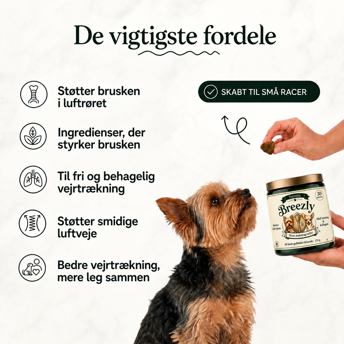 Luftvejsgodbidder til hunde Breezly - BRZ-DK