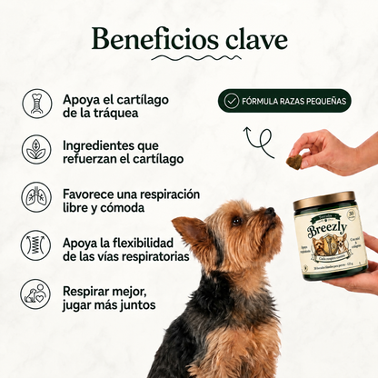 Bocados respiratorios para perros Breezly - BRZ-PE