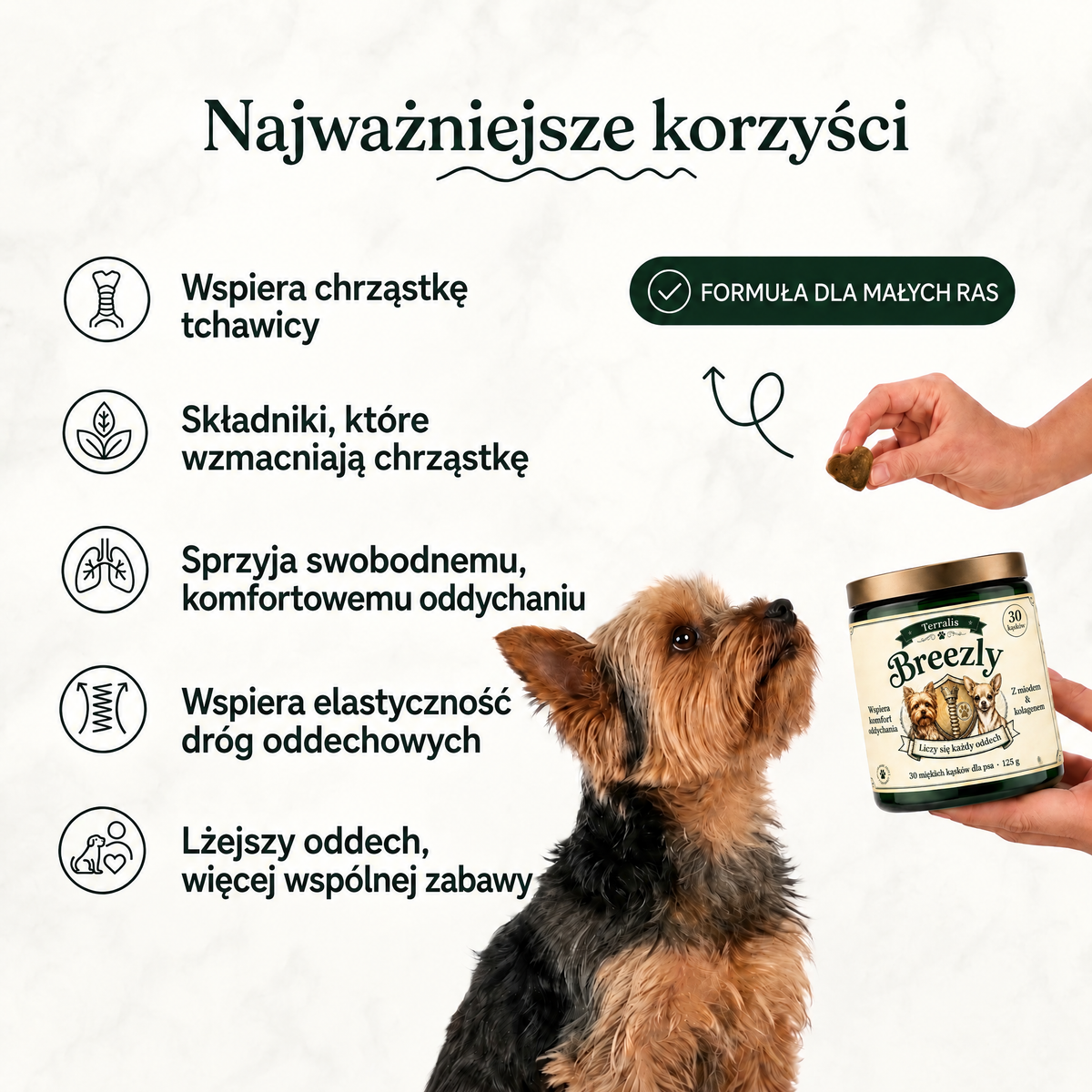 breezly-pl-bdp