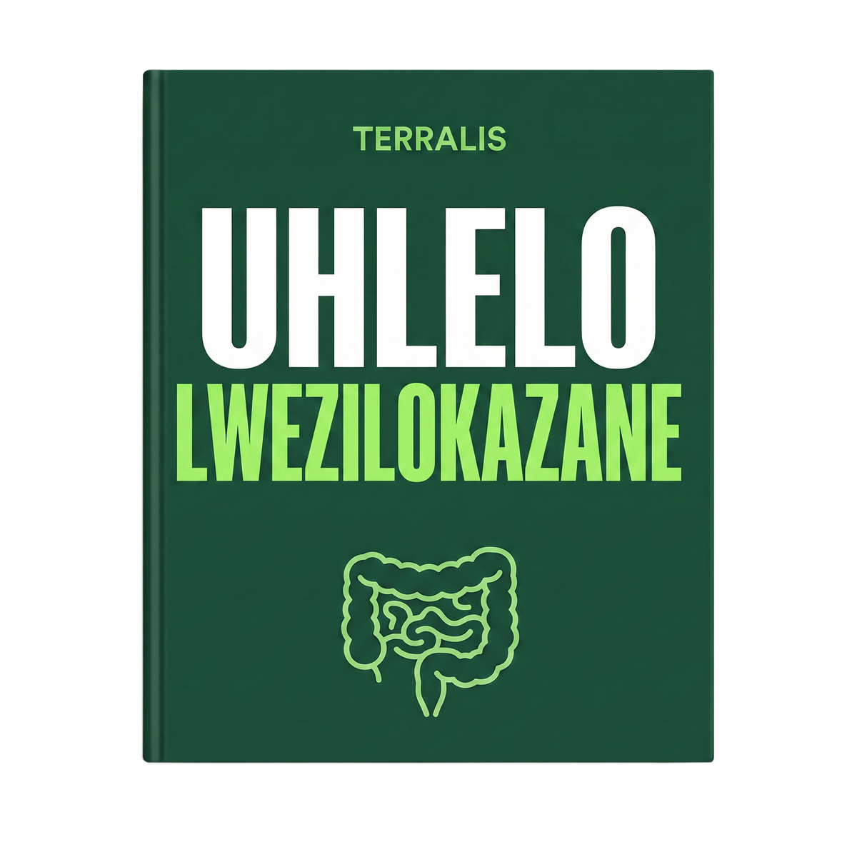 UHLELO LWEZILOKAZANE