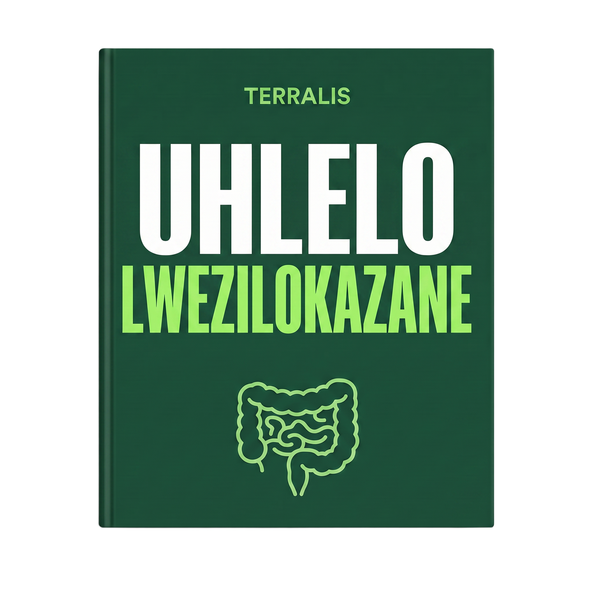 UHLELO LWEZILOKAZANE