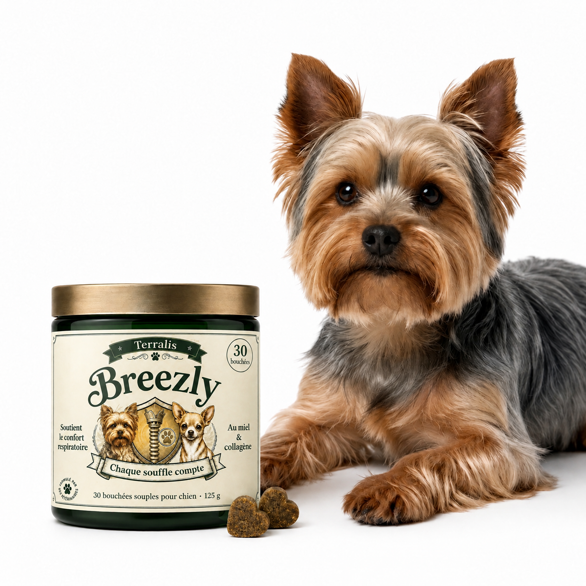Bouchées respiratoires pour chiens Breezly - BRZ-LU