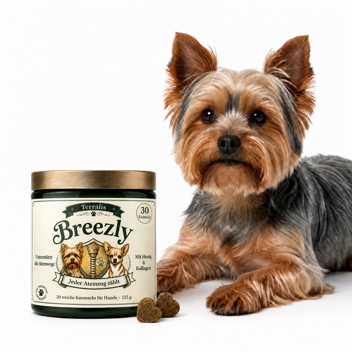 Atemwegs-Kausnacks für Hunde Breezly - BRZ-AT