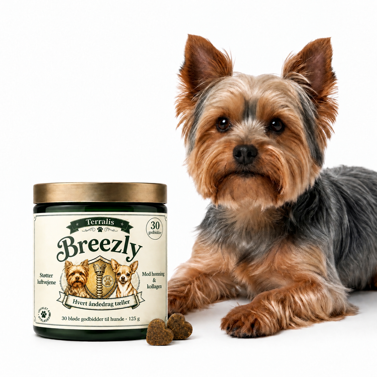 Luftvejsgodbidder til hunde Breezly - BRZ-DK