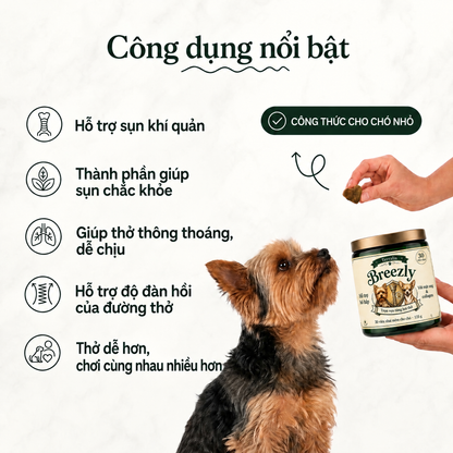 Viên nhai hỗ trợ hô hấp cho chó Breezly - BRZ-VN