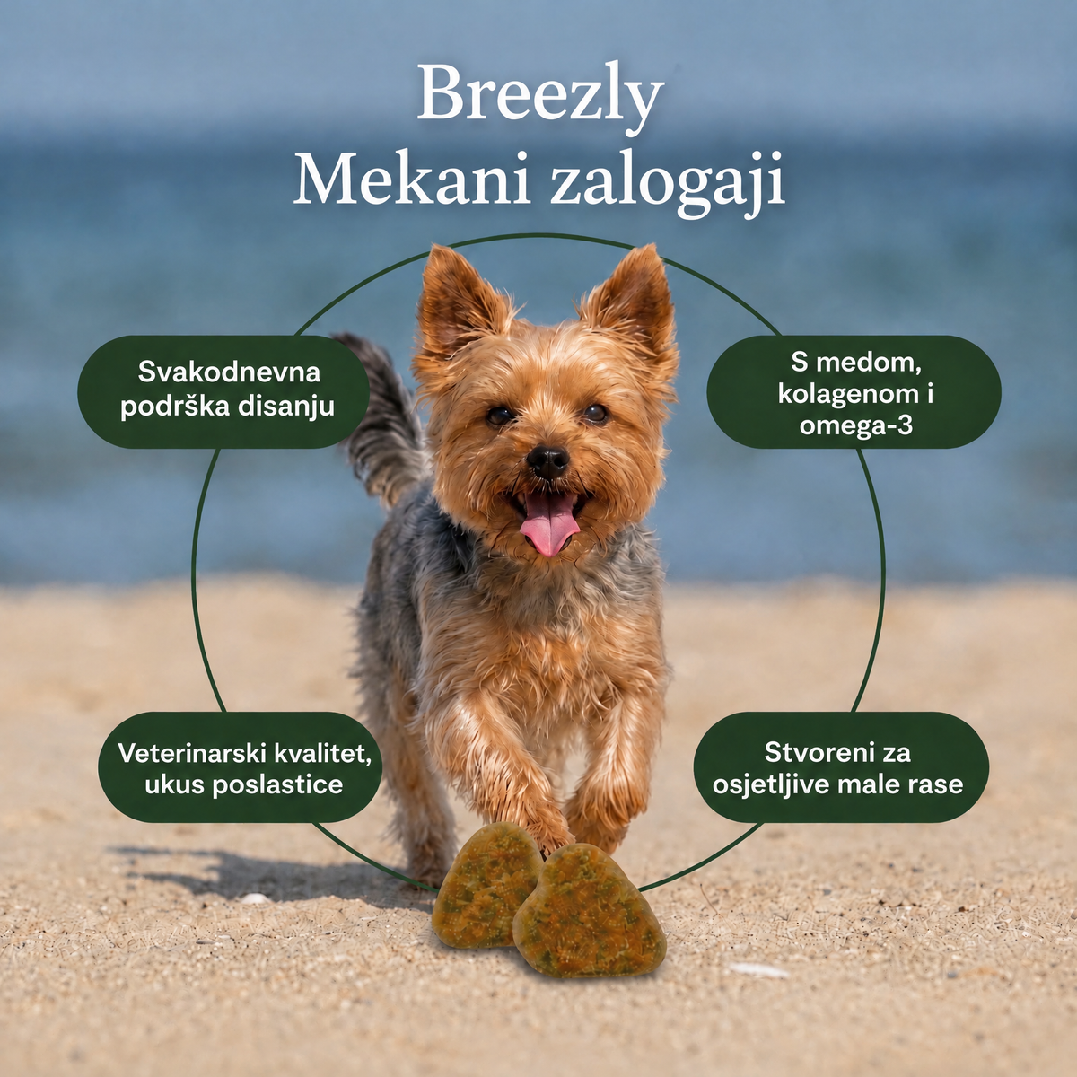 Zalogaji za disajne puteve pasa Breezly - BRZ-BA