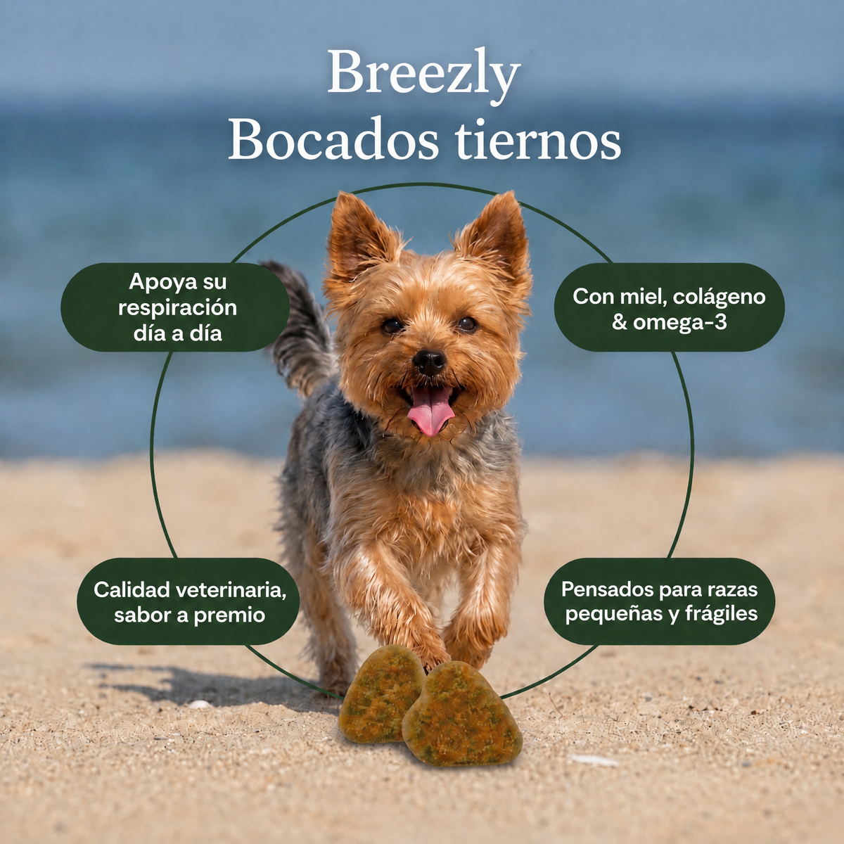 Bocados respiratorios para perros Breezly - BRZ-PE