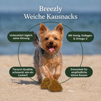 Atemwegs-Kausnacks für Hunde Breezly - BRZ-AT
