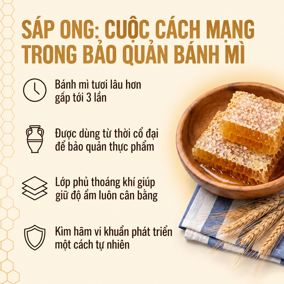 Túi bảo quản bánh mì Waxora - WAX-VN