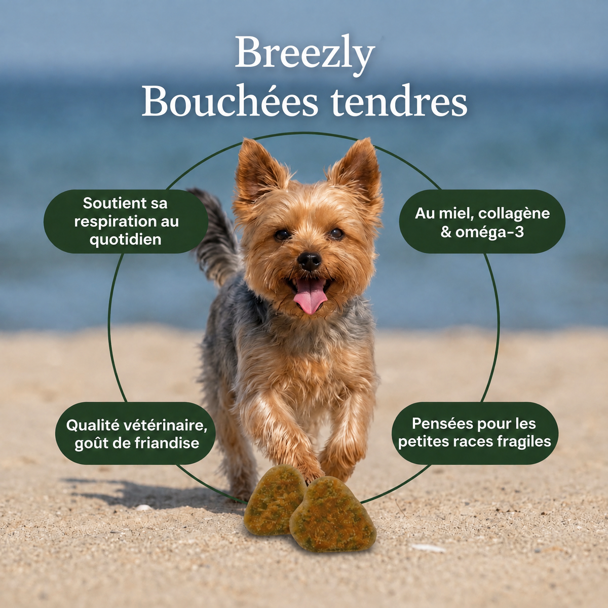 Bouchées respiratoires pour chiens Breezly - BRZ-LU