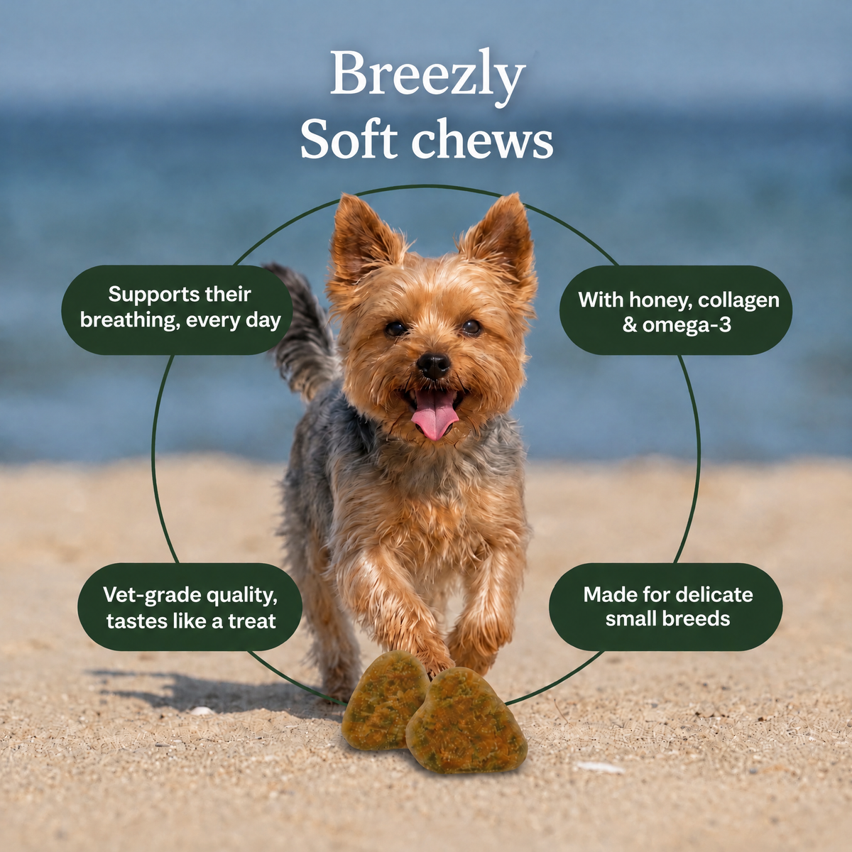 Breathing support chews for dogs Breezly - BRZ-ZA