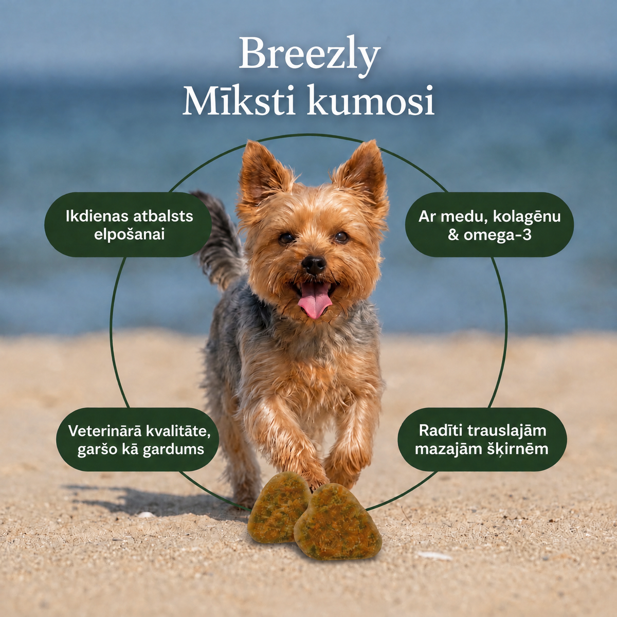 Elpošanas atbalsta kumosi suņiem Breezly - BRZ-LV