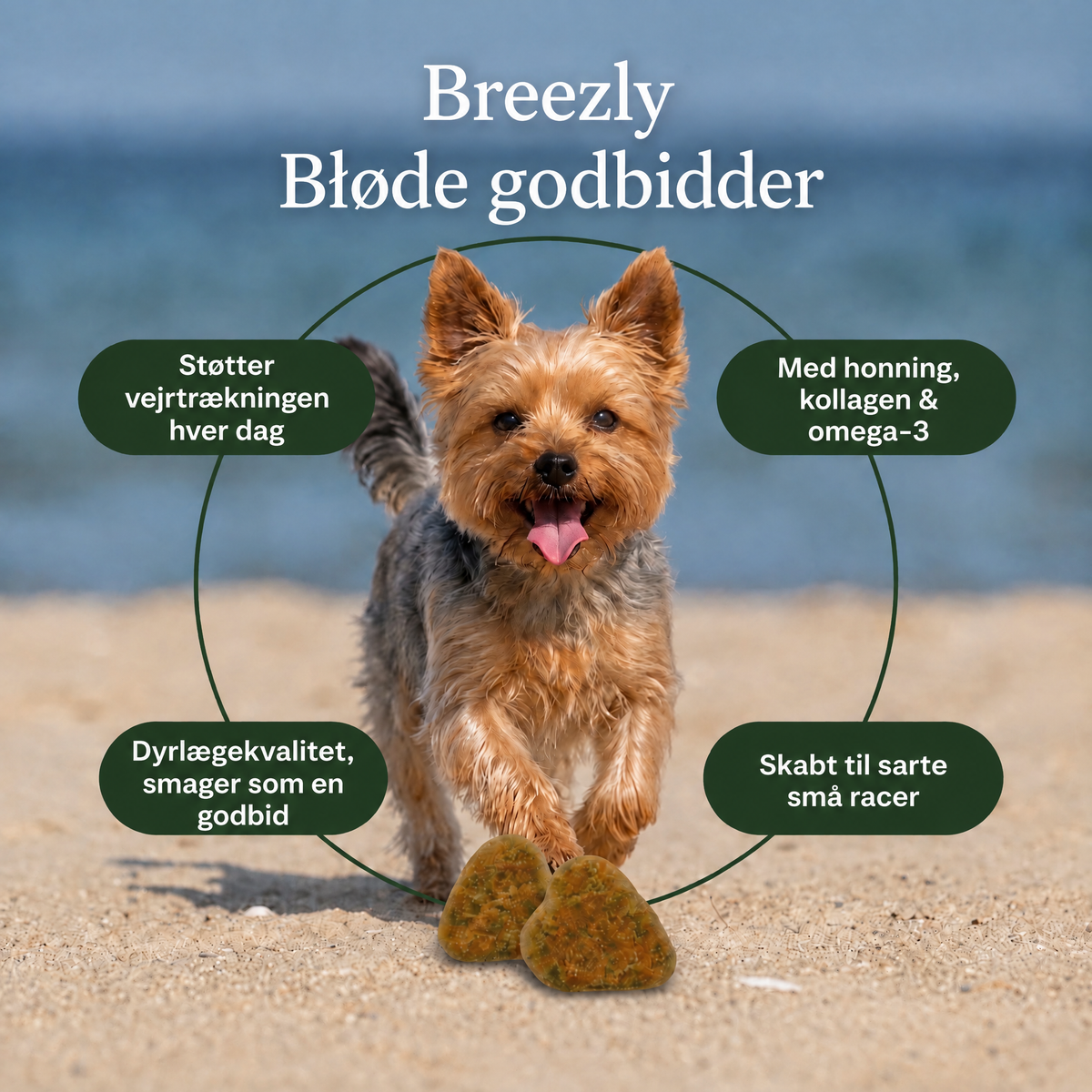 Luftvejsgodbidder til hunde Breezly - BRZ-DK