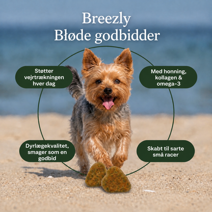 Luftvejsgodbidder til hunde Breezly - BRZ-DK