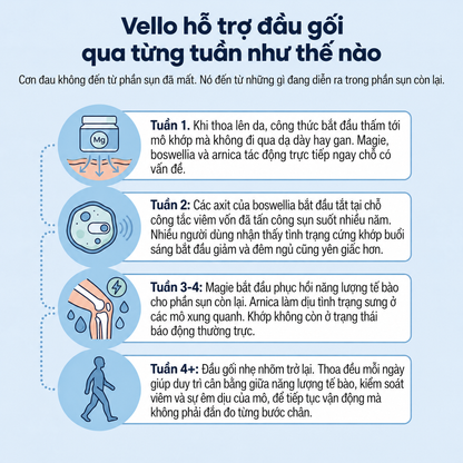 Gel lạnh magie Vello - VLO-VN