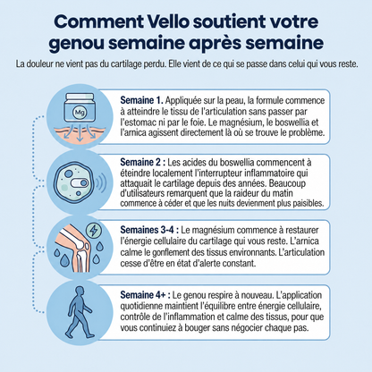 Gel froid au magnésium Vello - VLO-MU