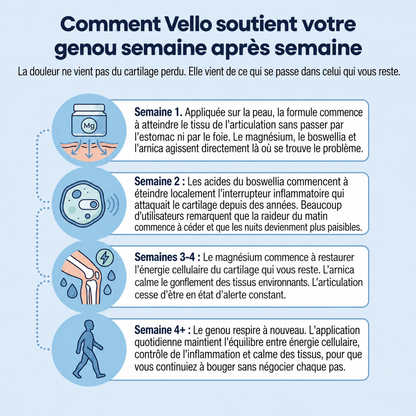 Gel froid au magnésium Vello - VLO-LU