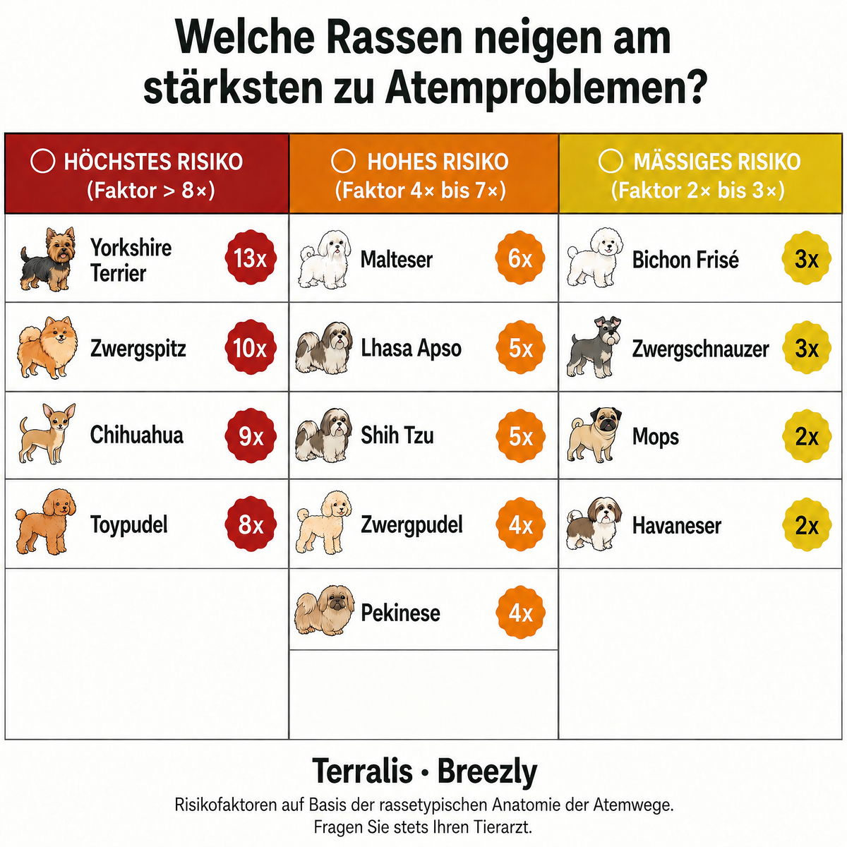 Atemwegs-Kausnacks für Hunde Breezly - BRZ-AT