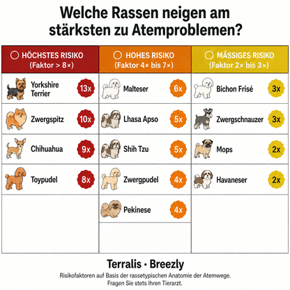 Atemwegs-Kausnacks für Hunde Breezly - BRZ-AT