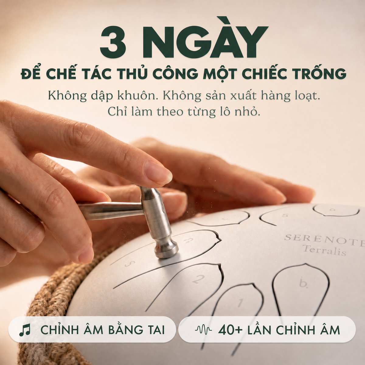 Trống lưỡi thép thư giãn Serenote - 1199SRN-VN