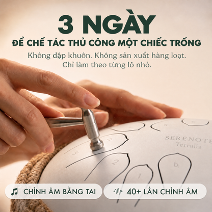 Trống lưỡi thép thư giãn Serenote - 1199SRN-VN