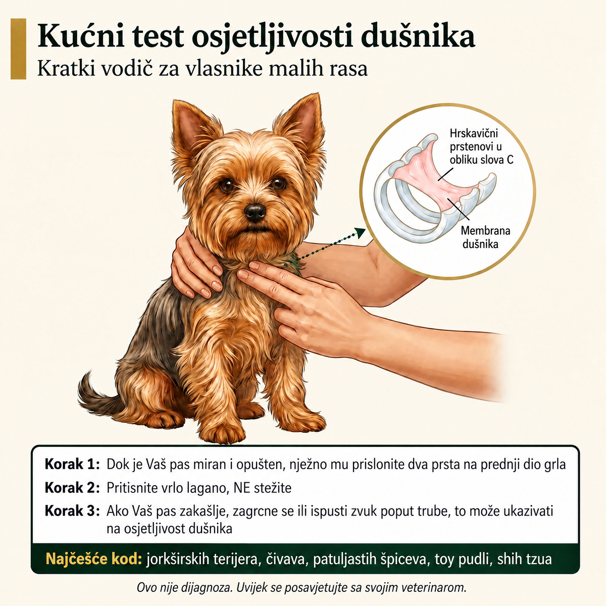Zalogaji za disajne puteve pasa Breezly - BRZ-BA