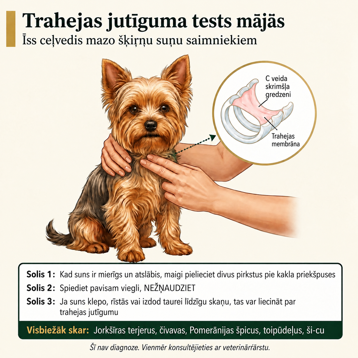 Elpošanas atbalsta kumosi suņiem Breezly - BRZ-LV