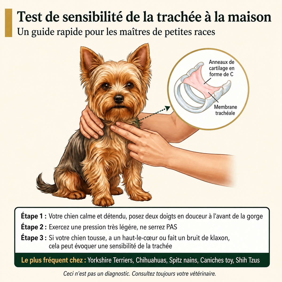 Bouchées respiratoires pour chiens Breezly - BRZ-LU