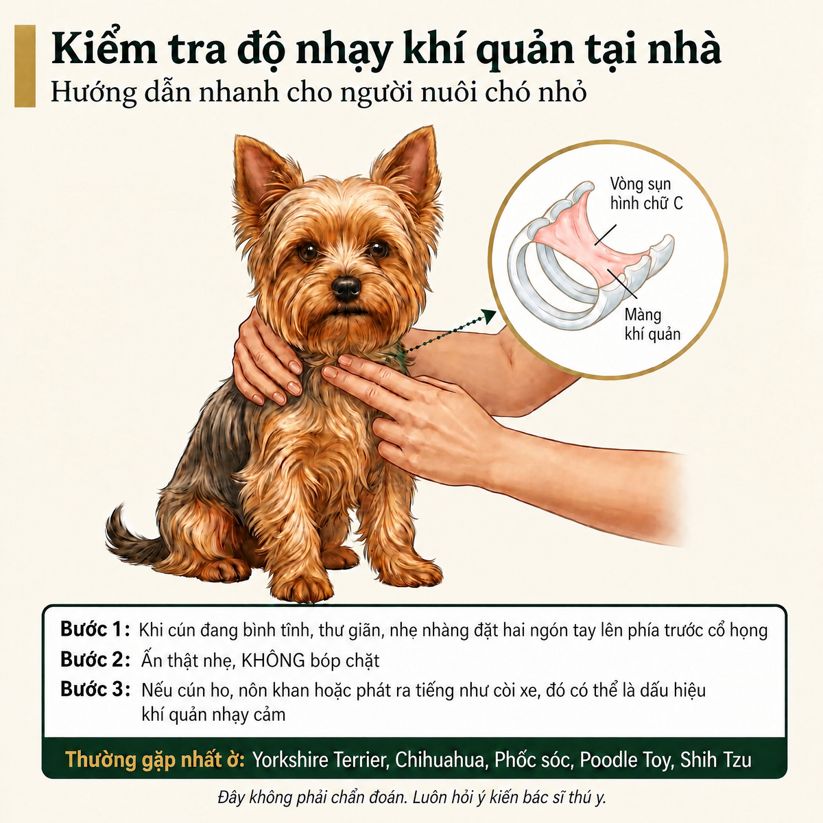 Viên nhai hỗ trợ hô hấp cho chó Breezly - BRZ-VN