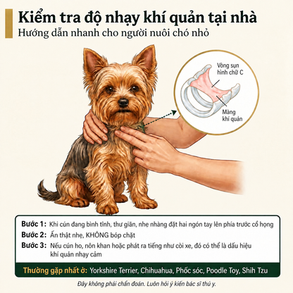 Viên nhai hỗ trợ hô hấp cho chó Breezly - BRZ-VN