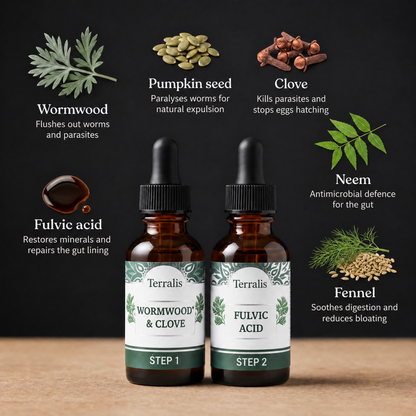2-Step Gut Detox Kit Evicta - 2346EVC-ZA