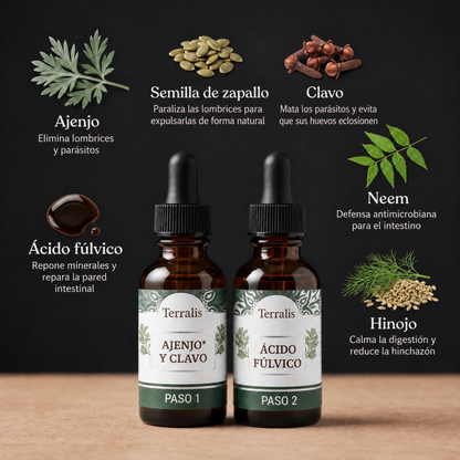 Kit detox intestinal de 2 pasos Evicta - 1041EVC-PE