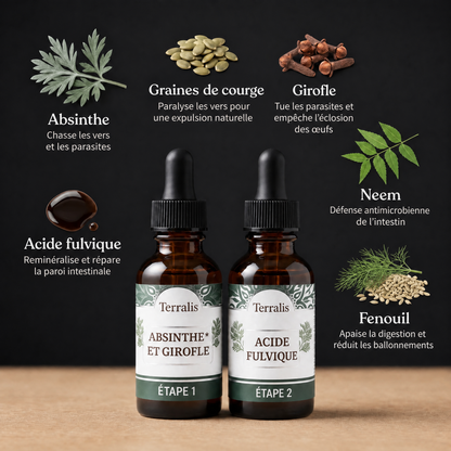 Kit détox intestinal en 2 étapes Evicta - 5480EVC-MU