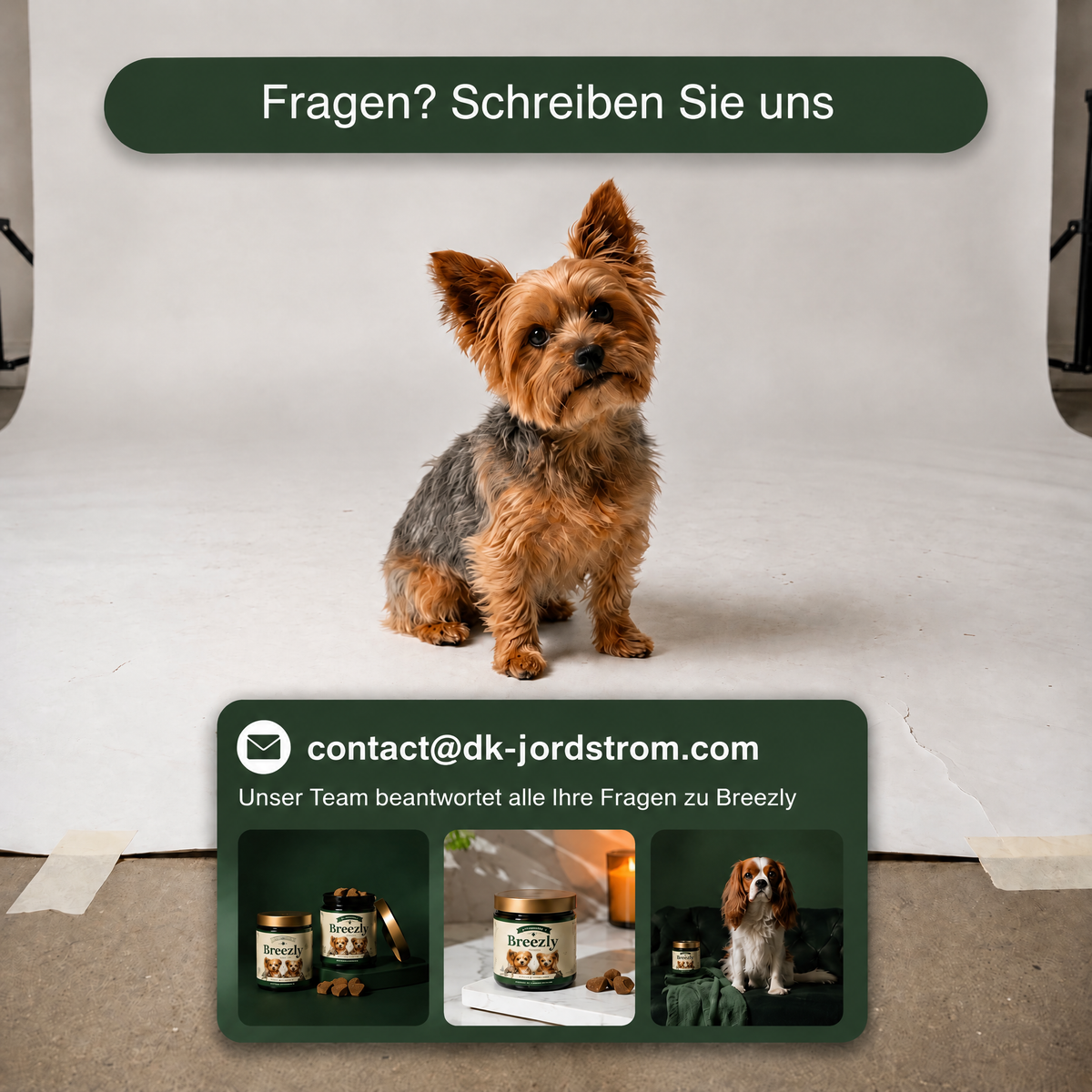 Atemwegs-Kausnacks für Hunde Breezly - BRZ-AT
