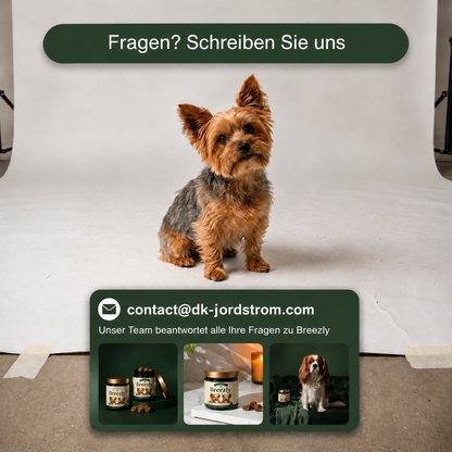 Atemwegs-Kausnacks für Hunde Breezly - BRZ-AT