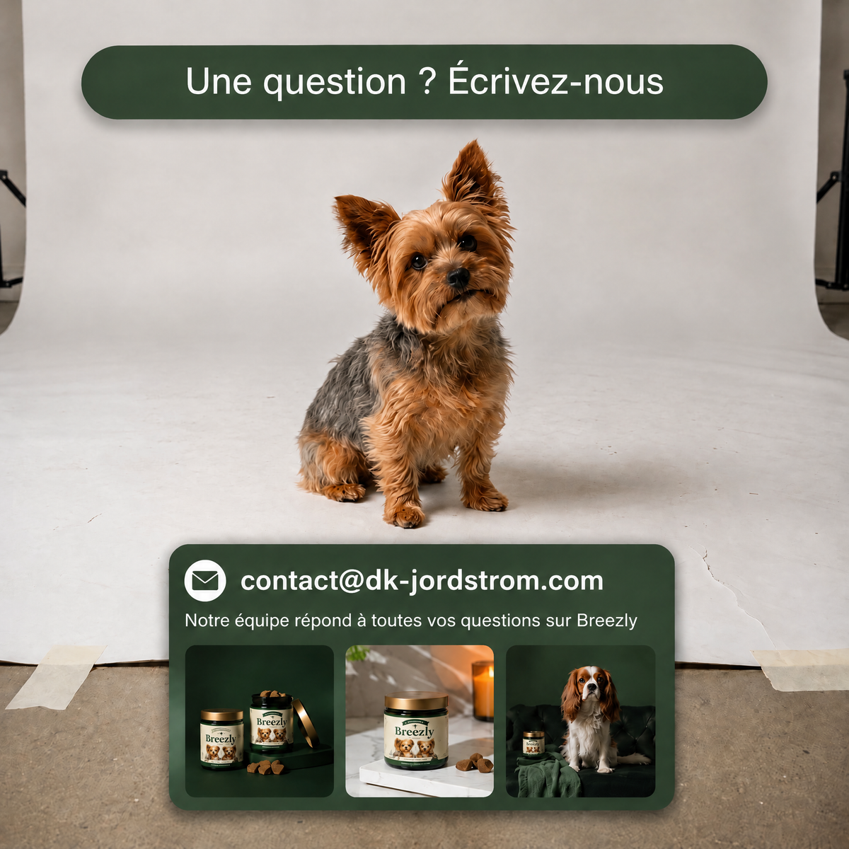 Bouchées respiratoires pour chiens Breezly - BRZ-MU