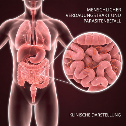 2-Schritte-Darmdetox-Kit Evicta - 9336EVC-AT