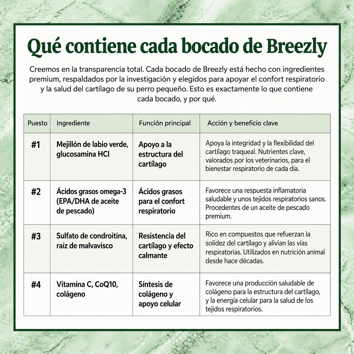 Bocados respiratorios para perros Breezly - BRZ-PE