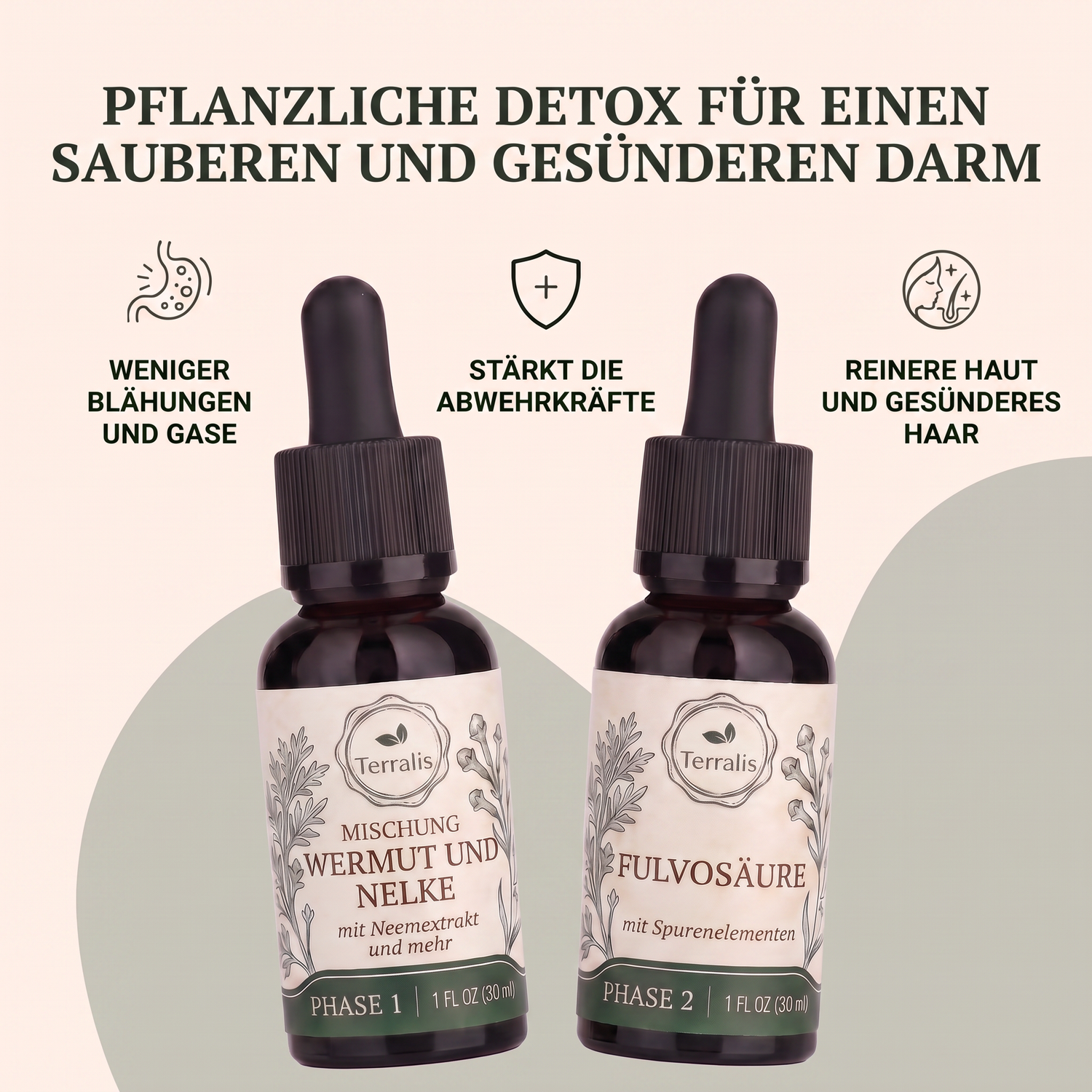 klenza-at-bdp