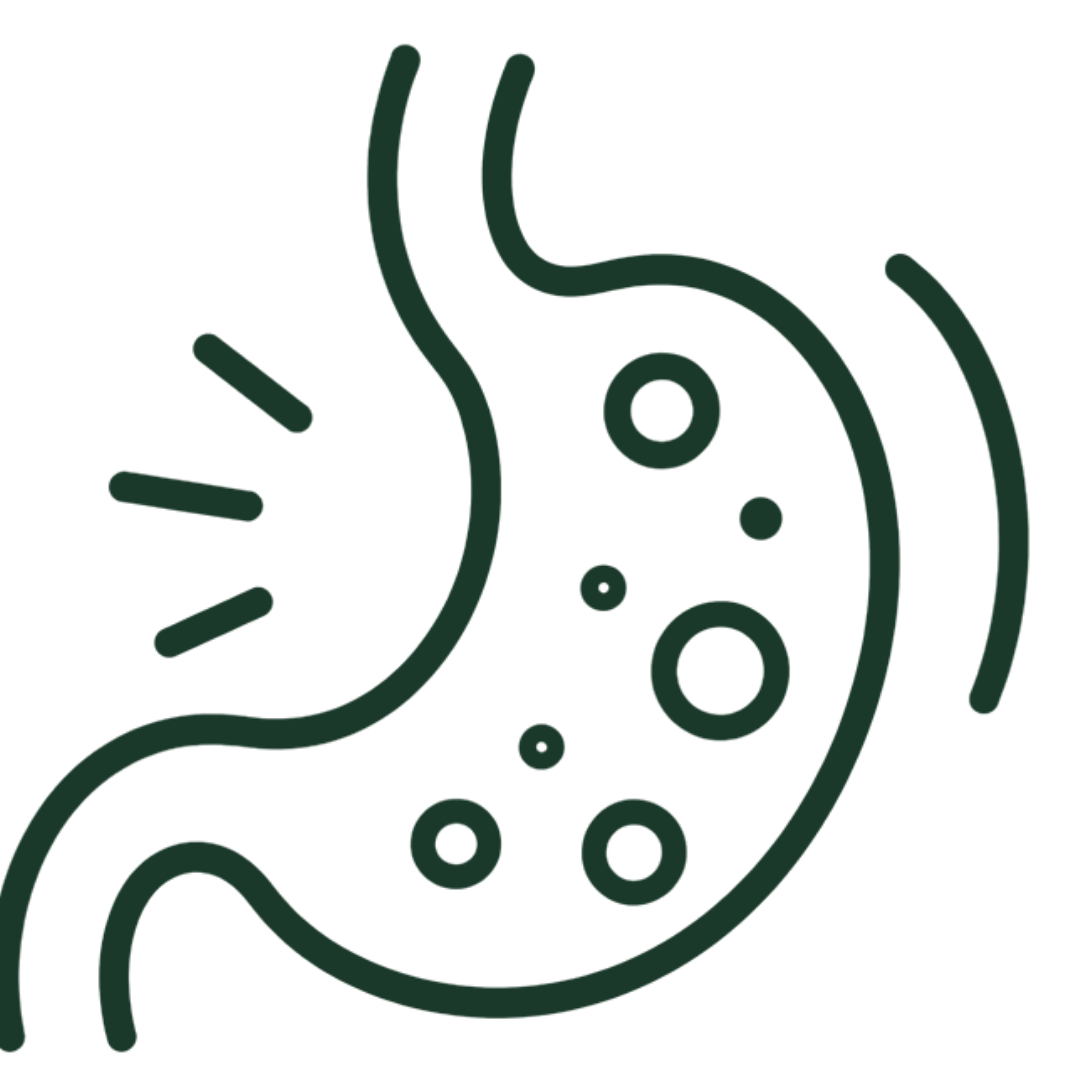 klenza-icon-04