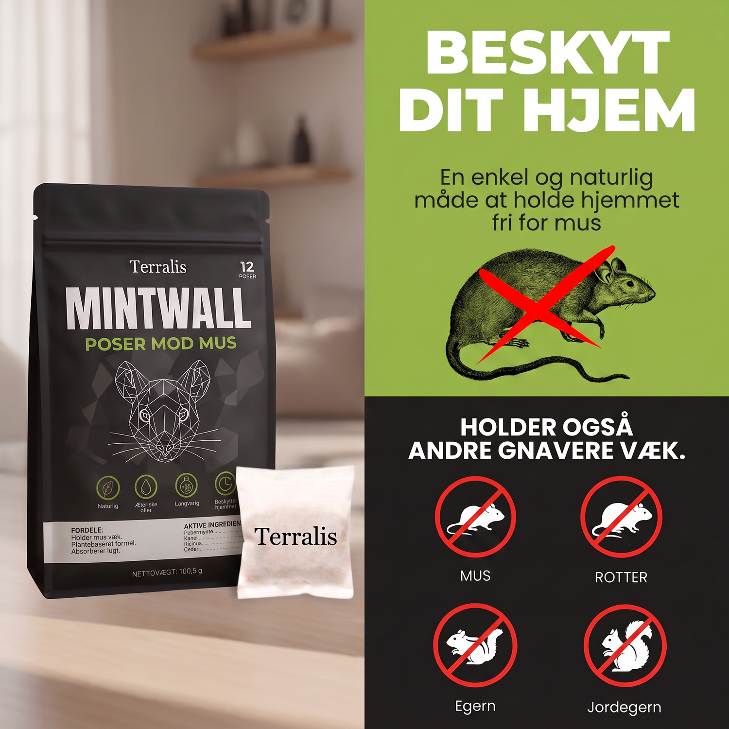 Mintwall DK