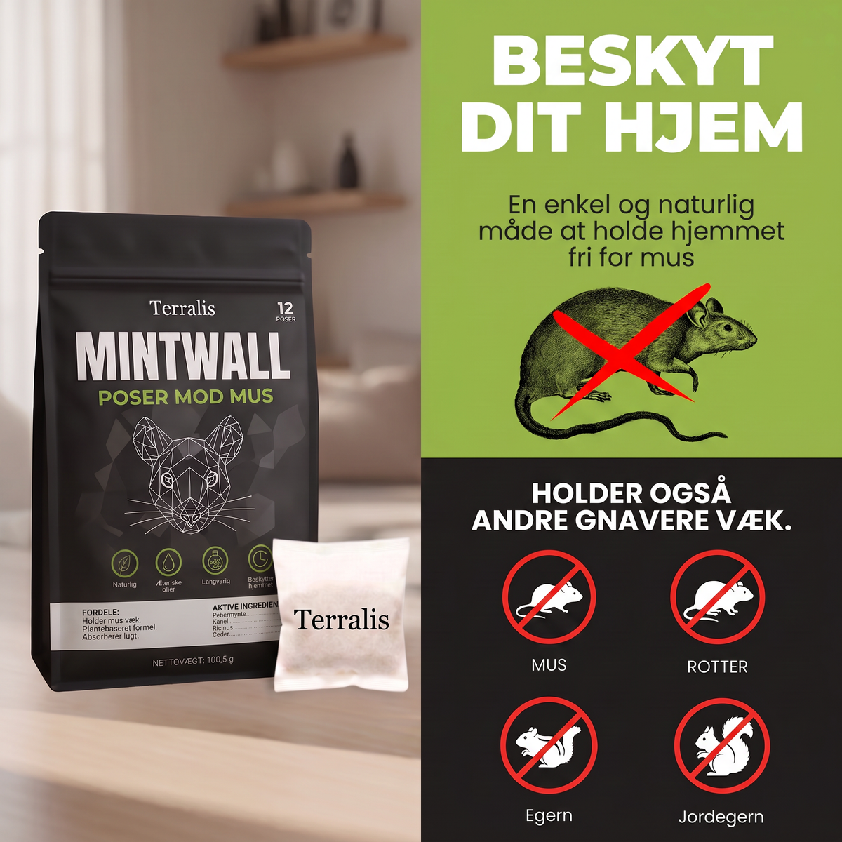 Mintwall MTW-DK
