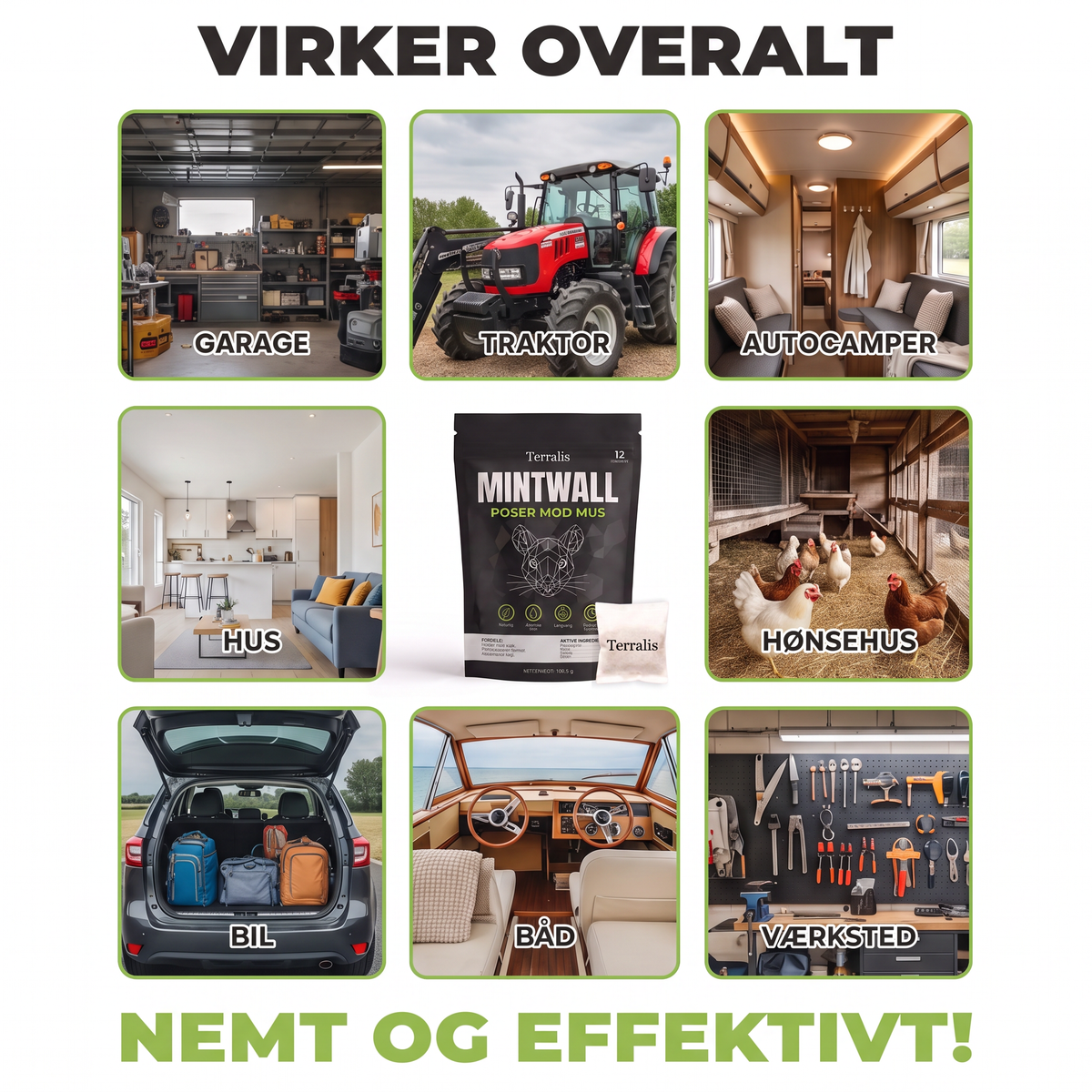 Mintwall MTW-DK