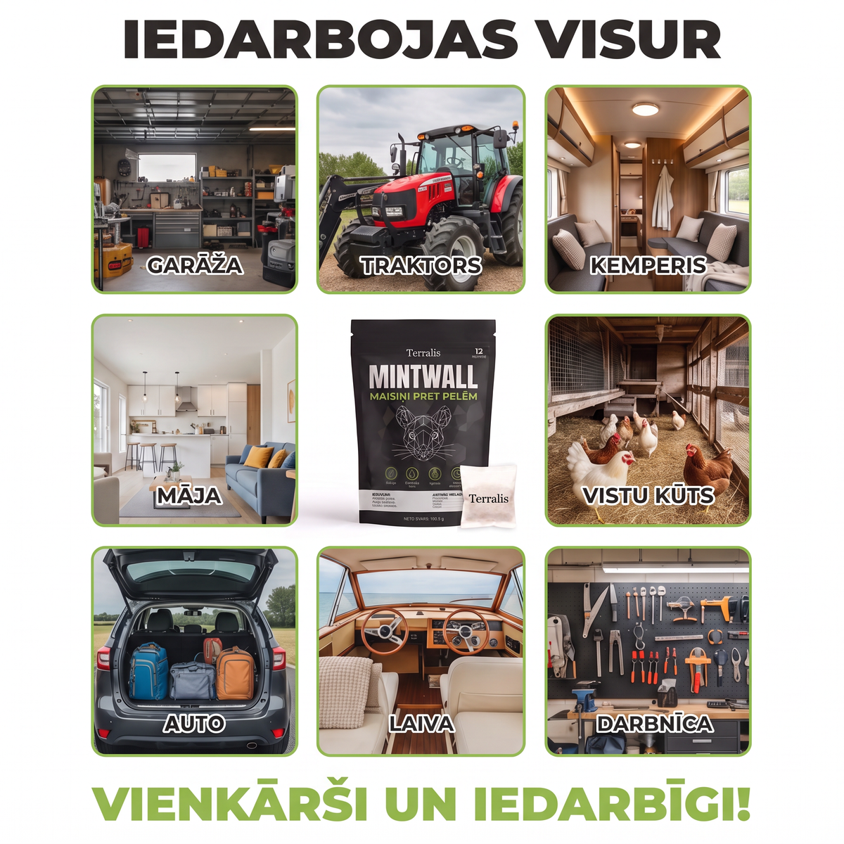 Mintwall MTW-LV