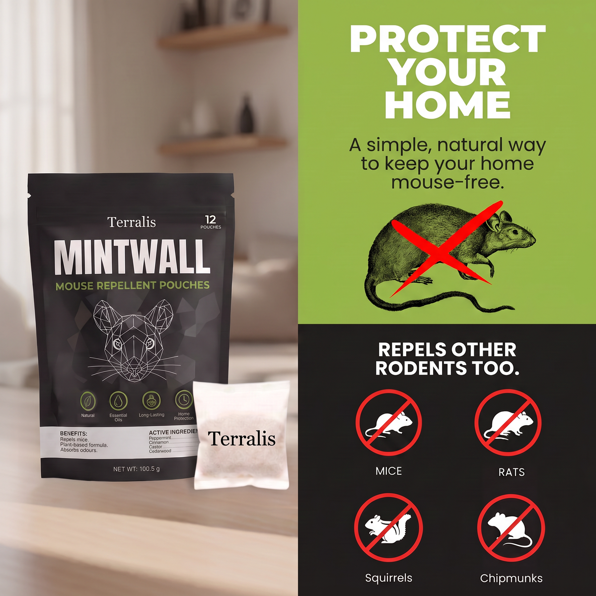 Mintwall ZA